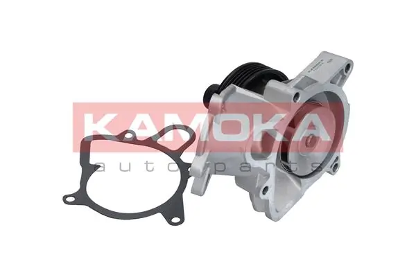 T0064 Kamoka Насос водяной