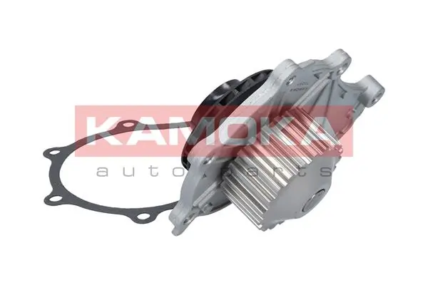 T0087 Kamoka Насос водяной