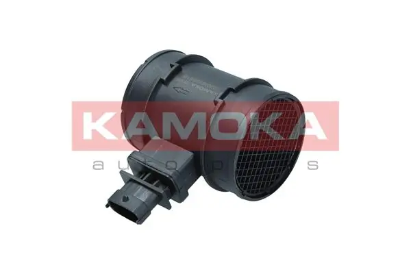 18036 Kamoka