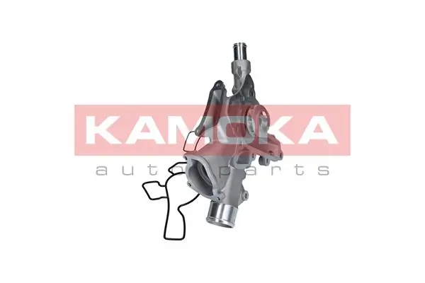 T0225 Kamoka Насос водяной