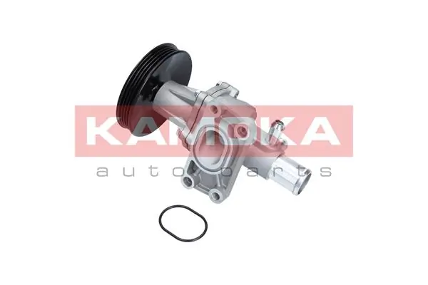 T0276 Kamoka Насос водяной
