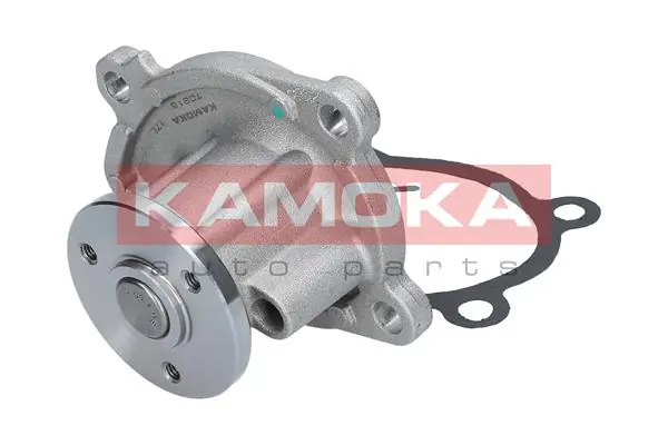 Купить T0215 Kamoka Насос охлаждения