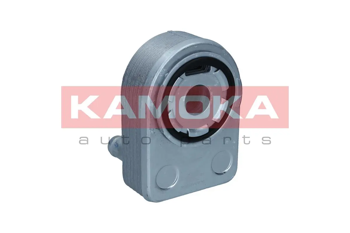 7730106 Kamoka