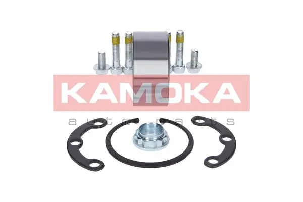 5600064 Kamoka Подшипник ступицы задней