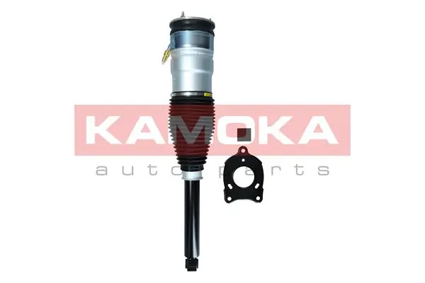2070006 Kamoka Амортизаторы задние