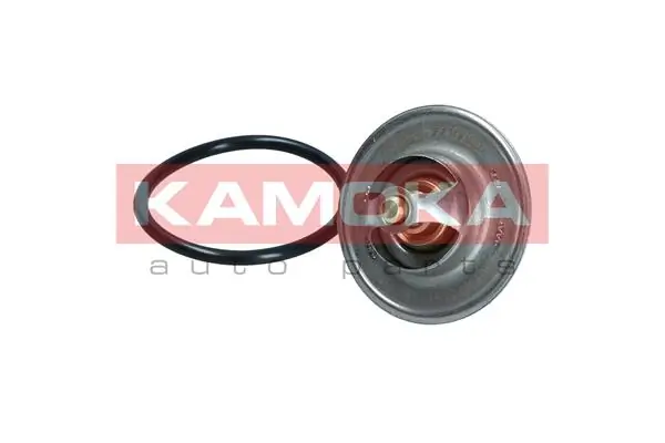 Термостат 021202020489P 4max