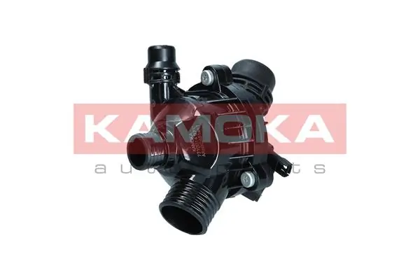 Termostato BMW X3 F25