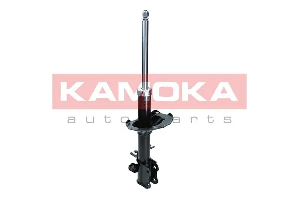 20333169 Kamoka