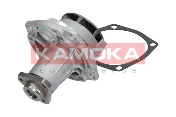 Купить RM7010 Goodrem Насос охлаждения
