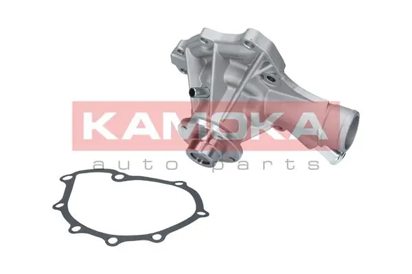 T0189 Kamoka Насос водяной
