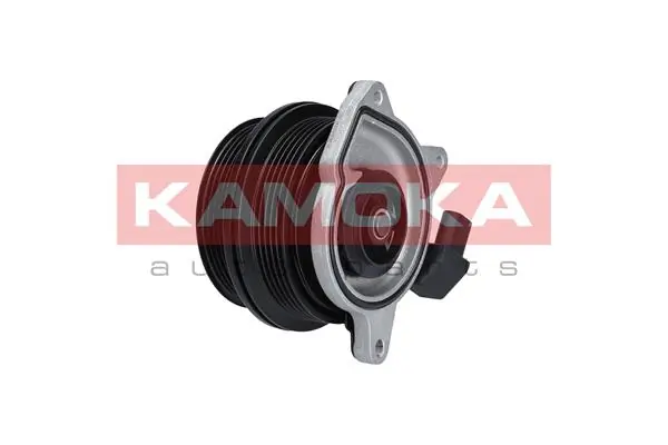 T0278 Kamoka Насос водяной