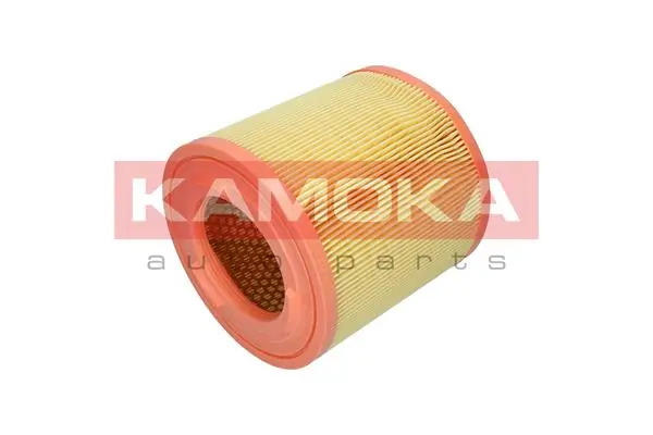 Купить F253301 Kamoka Автомобильный фильтр воздуха