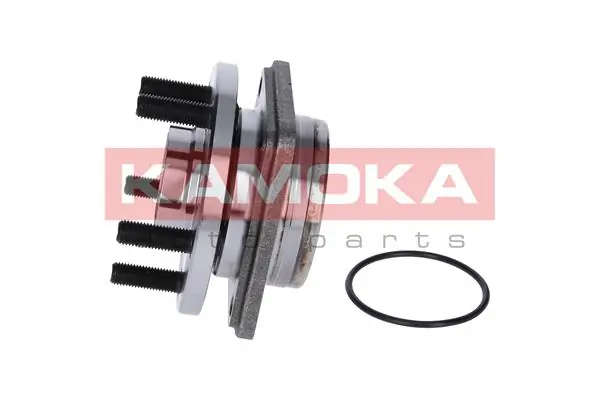 5500057 Kamoka Ступица колеса передняя