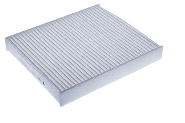 Filtro de salão Lexus RX L25