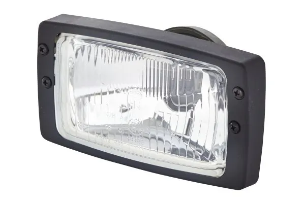 Лампа-фара, левая=правая DAF 325162 цена, от 0.63 USD