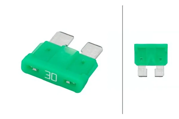 Предохранители (электрических цепей) Tesla FT30A цена, от 0.28 USD