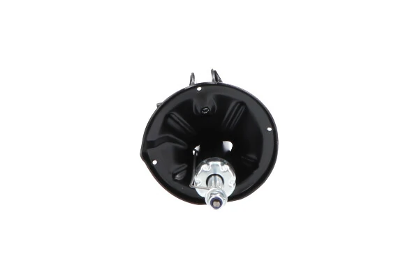 Амортизатор задний, правый Kavo Parts SSA3039 цена, от 41.44 USD