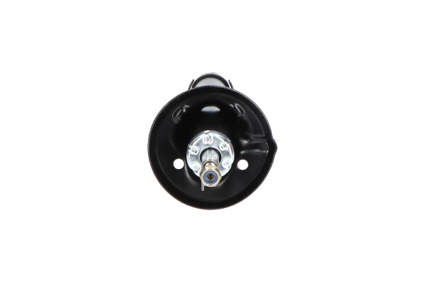 Стойка амортизатора передняя Kavo Parts SSA10244 цена, от 40.10 USD