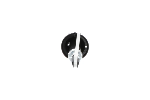 Стойка амортизатора задняя Kavo Parts SSA2001 цена, от 34.71 USD