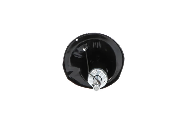 Стойка амортизатора передняя Kavo Parts SSA5509 цена, от 58.22 USD