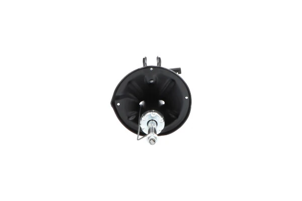 Стойка задняя, левая Kavo Parts SSA3020 цена, от 37.26 USD