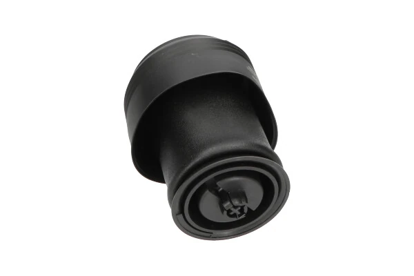 SAS10002 Kavo Parts Пневморессора задняя