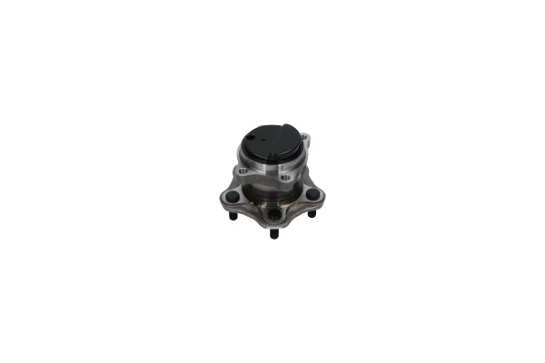WBH6546 Kavo Parts Ступица задняя