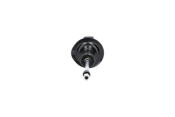 Стойка амортизатора задняя Kavo Parts SSA8006 цена, от 30.73 USD