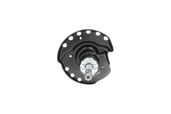 Амортизатор передней подвески левой Kavo Parts SSA10129 цена, от 44.91 USD