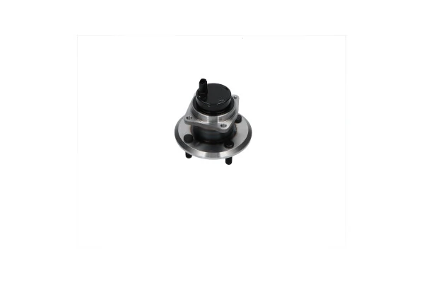 WBH9005 Kavo Parts Ступица задняя