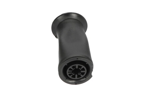 SAS10005 Kavo Parts Пневморессора задняя