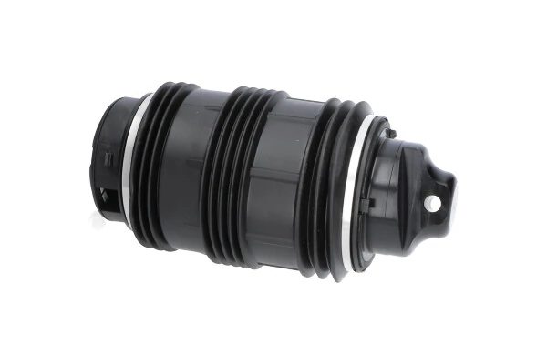 SAS10026 Kavo Parts Пневморессора задняя