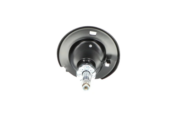 Стойка амортизатора передняя Kavo Parts SSA10124 цена, от 38.79 USD
