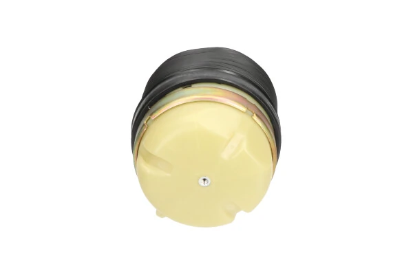 SAS10009 Kavo Parts Пневморессора задняя