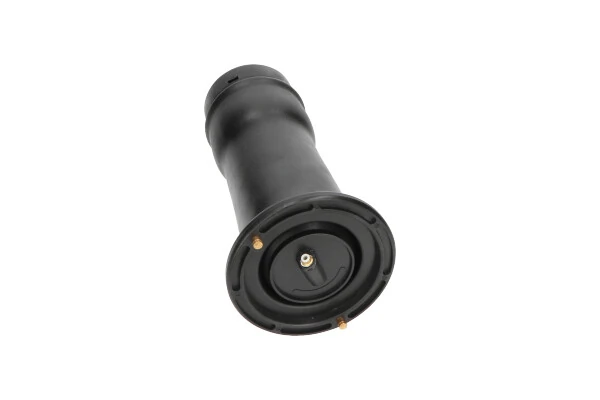 SAS10025 Kavo Parts Пневморессора задняя