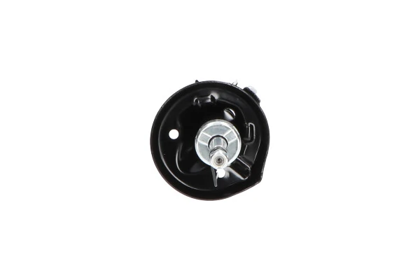 Стойка амортизатора передняя Kavo Parts SSA10031 цена, от 60.19 USD
