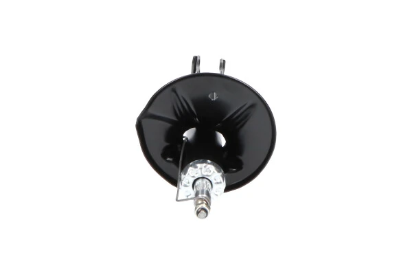 Стойка амортизатора передняя Kavo Parts SSA5530 цена, от 45.69 USD