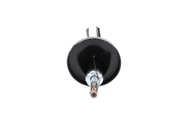 Стойка амортизатора передняя Kavo Parts SSA10211 цена, от 43.53 USD