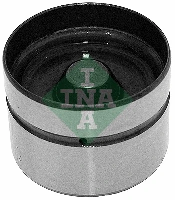 420020810 INA