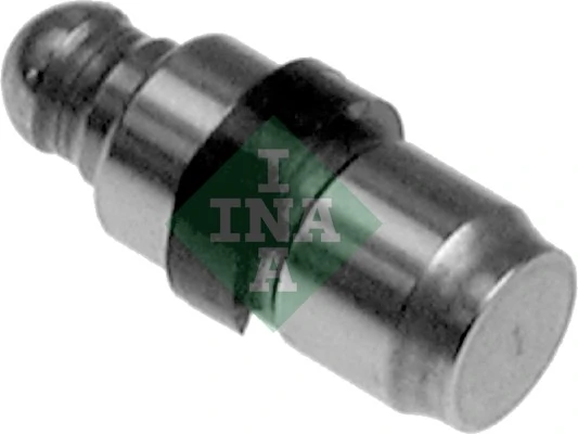 420018310 INA
