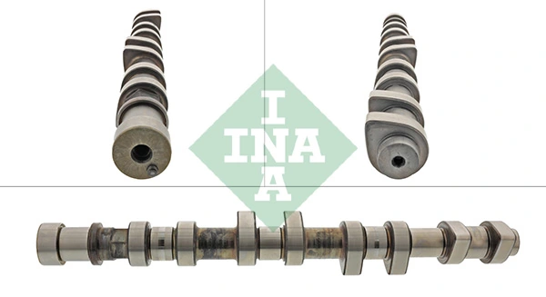 428014610 INA