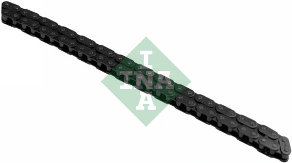 553006310 INA