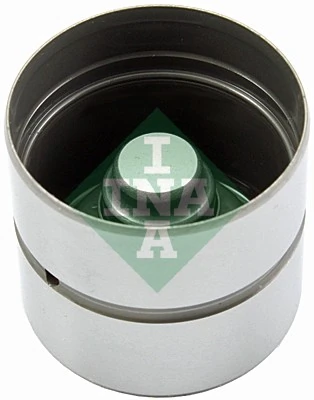 420010510 INA