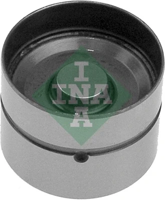 420002410 INA