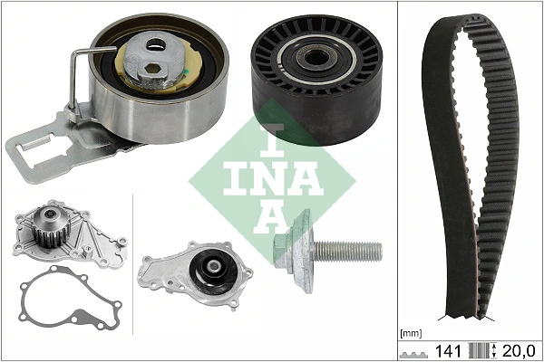 530069830 INA