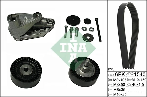 529019810 INA