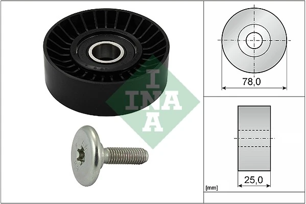 532043910 INA