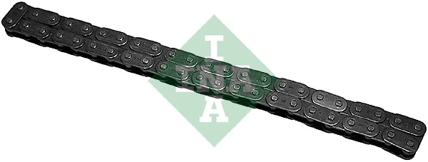 553010910 INA