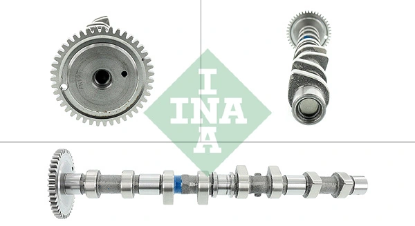 428009210 INA
