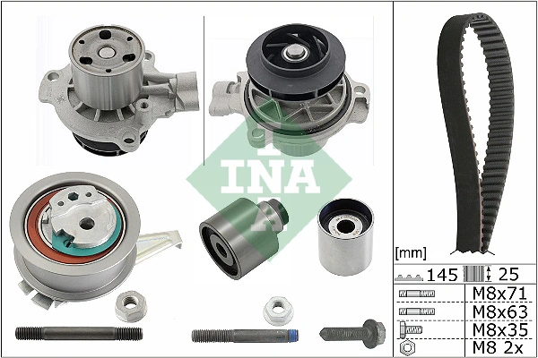 530065031 INA